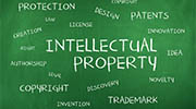 South Africa intellectual property rights investigator